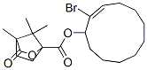 2-bromo-2-cycloundecenyl camphanate Struktur