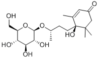 ICARISIDE B5 Struktur