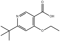 sodiuM 6-tert-butyl-4-ethoxynicotinate Struktur