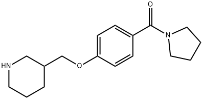 (4-(piperidin-3-ylMethoxy)phenyl)(pyrrolidin-1-yl)Methanone, 98+% C17H24N2O2, MW: 288.38 Struktur