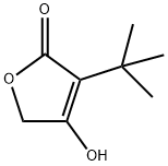 3-TERT-BUTYL-4-HYDROXYFURAN-2(5H)-ONE Struktur