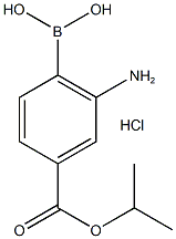 2-Amino-4-(isopropoxycarbonyl)phenylboronic acid, Struktur