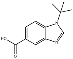 1-t-Butyl-benzoiMidazole-5-carboxylic acid Struktur