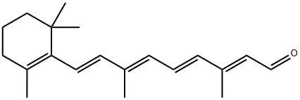 Retinal Struktur