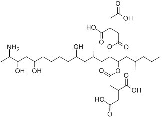 FUMONISIN B1