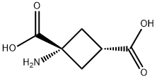 1-AMINOCYCLOBUTANE-CIS-1,3-DICARBOXYLIC ACID Struktur