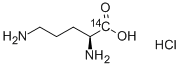 L-ORNITHINE-CARBOXY-14C HYDROCHLORIDE Struktur