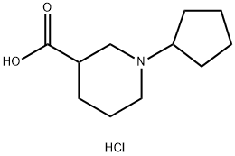 1-Cyclopentylpiperidine-3-carboxylic acidhydrochloride Struktur