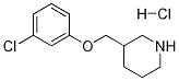 3-[(3-CHLOROPHENOXY)METHYL]PIPERIDINEHYDROCHLORIDE Struktur