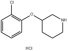 3-(2-Chlorophenoxy)piperidine hydrochloride Struktur