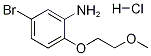 5-BROMO-2-(2-METHOXYETHOXY)ANILINE HYDROCHLORIDE Struktur