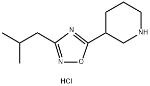 3-(3-isobutyl-1,2,4-oxadiazol-5-yl)piperidine hydrochloride Struktur