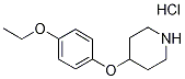 4-(4-Ethoxyphenoxy)piperidine hydrochloride Struktur