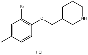 3-[(2-BROMO-4-METHYLPHENOXY)METHYL]PIPERIDINEHYDROCHLORIDE Struktur