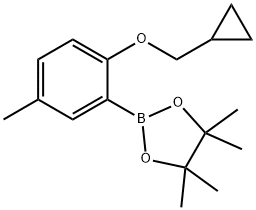 2-CyclopropylMethoxy-5-Methylphenylboronic acid pinacol ester Struktur