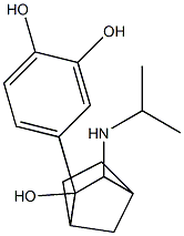 N-isopropyl-3-amino-2-(3,4-dihydroxyphenyl)-2-hydroxybicyclo(2.2.1)heptane Struktur