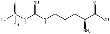 ω-ホスホノ-L-アルギニン