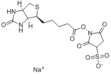 イージ-リンクスルホ-NHS-ビオチン price.