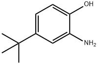 2-Amino-4-tert-butylphenol