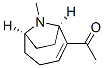 N-methylanatoxin Struktur