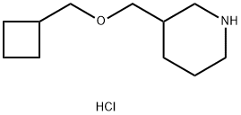 Cyclobutylmethyl 3-piperidinylmethyl etherhydrochloride Struktur