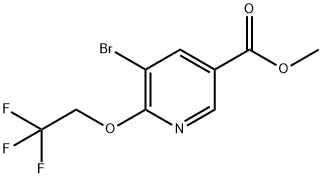 5-broMo-6-(2,2,2-trifluoroethoxy)nicotinic acid Methyl ester Struktur