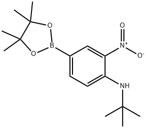 N-tert-Butyl-2-nitro-4-(4,4,5,5-tetramethyl-1,3,2-dioxaborolan-2-yl)aniline Struktur