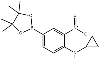 N-Cyclopropyl-2-nitro-4-(4,4,5,5-tetramethyl-1,3,2-dioxaborolan-2-yl)aniline Struktur