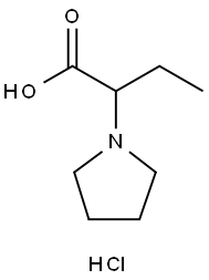 2-Pyrrolidin-1-yl-butyric acid hydrochloride Struktur