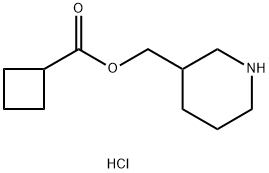 3-Piperidinylmethyl cyclobutanecarboxylatehydrochloride Struktur