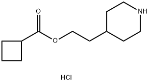 2-(4-Piperidinyl)ethyl cyclobutanecarboxylatehydrochloride Struktur