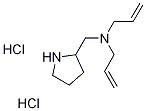 N-Allyl-N-(2-pyrrolidinylmethyl)-2-propen-1-aminedihydrochloride Struktur