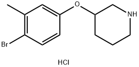 3-(4-Bromo-3-methylphenoxy)piperidinehydrochloride Struktur