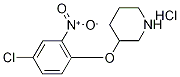 3-(4-Chloro-2-nitrophenoxy)piperidinehydrochloride Struktur