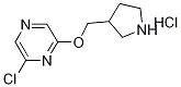 2-Chloro-6-(3-pyrrolidinylmethoxy)pyrazinehydrochloride Struktur