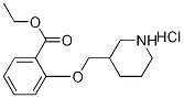 Ethyl 2-(3-piperidinylmethoxy)benzoatehydrochloride Struktur