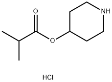 4-Piperidinyl 2-methylpropanoate hydrochloride Struktur