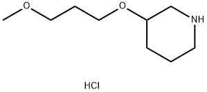 3-(3-Methoxypropoxy)piperidine hydrochloride Struktur