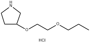 3-(2-Propoxyethoxy)pyrrolidine hydrochloride Struktur