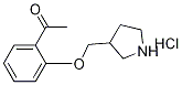 1-[2-(3-Pyrrolidinylmethoxy)phenyl]-1-ethanonehydrochloride Struktur