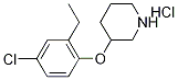 3-(4-Chloro-2-ethylphenoxy)piperidinehydrochloride Struktur