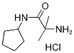 2-Amino-N-cyclopentyl-2-methylpropanamidehydrochloride Struktur