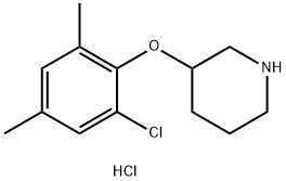 3-(2-Chloro-4,6-dimethylphenoxy)piperidinehydrochloride Struktur