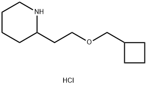 2-[2-(Cyclobutylmethoxy)ethyl]piperidinehydrochloride Struktur