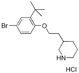 3-{2-[4-Bromo-2-(tert-butyl)phenoxy]-ethyl}piperidine hydrochloride Struktur