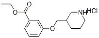 Ethyl 3-(3-piperidinylmethoxy)benzoatehydrochloride Struktur