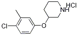 3-(4-Chloro-3-methylphenoxy)piperidinehydrochloride Struktur