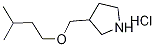 3-[(Isopentyloxy)methyl]pyrrolidine hydrochloride Struktur