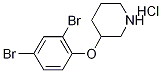 3-(2,4-Dibromophenoxy)piperidine hydrochloride Struktur