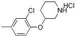 3-(2-Chloro-4-methylphenoxy)piperidinehydrochloride Struktur